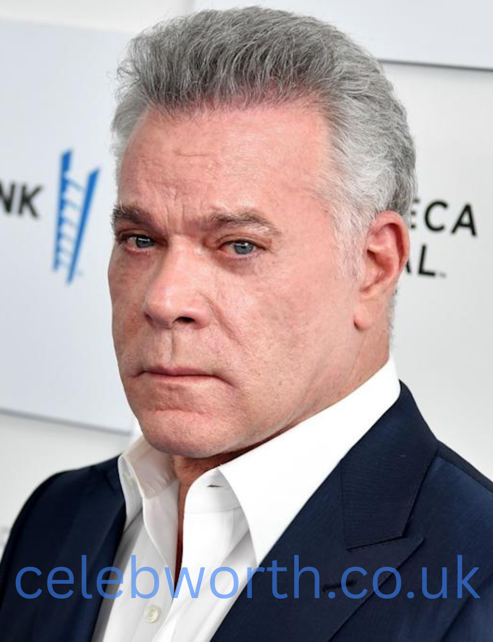Ray Liotta Net Worth