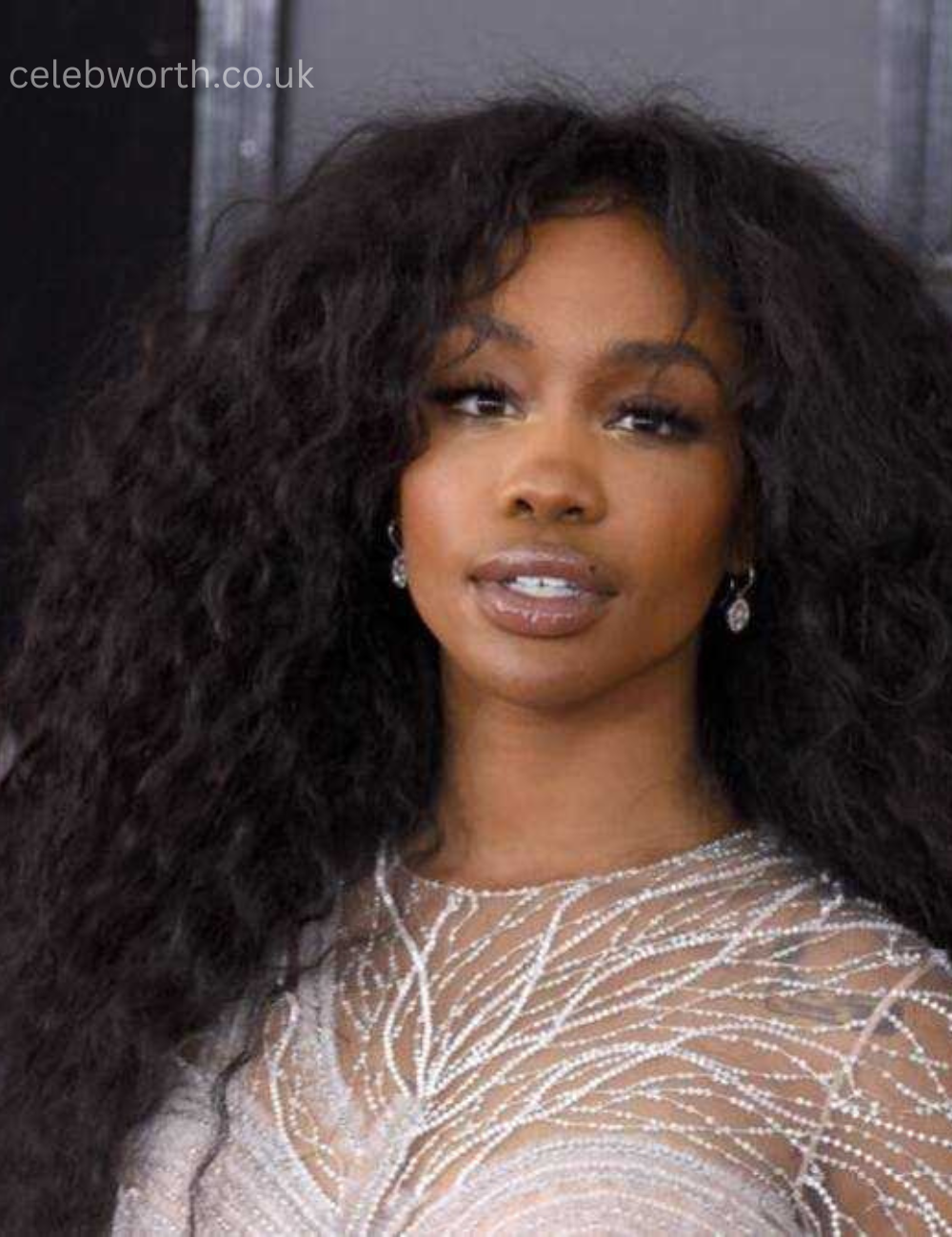 SZA Net Worth