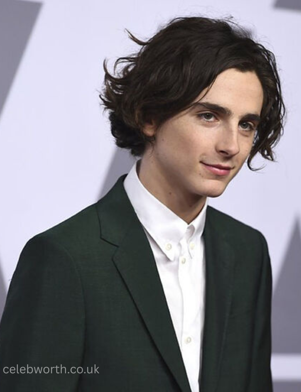 Timothée Chalamet Net Worth