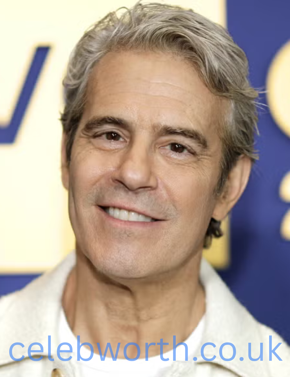 andy cohen net worth