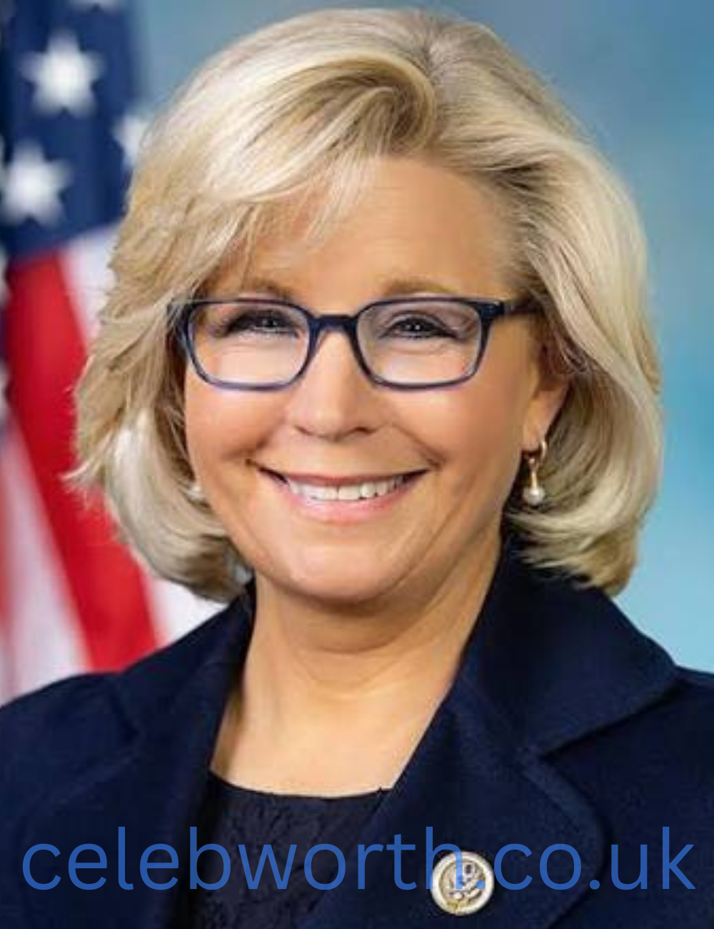 liz cheney net worth